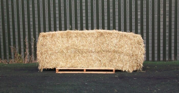 Ryegrass Hay – Big Bales