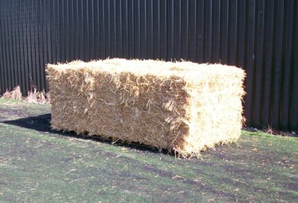 Wheat Straw – Conventional Bales