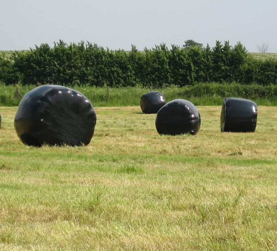 Haylage silage