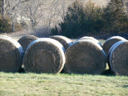 BROME/CLOVER/PRAIRIE HAY HAY