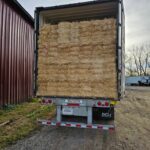 hay for sale